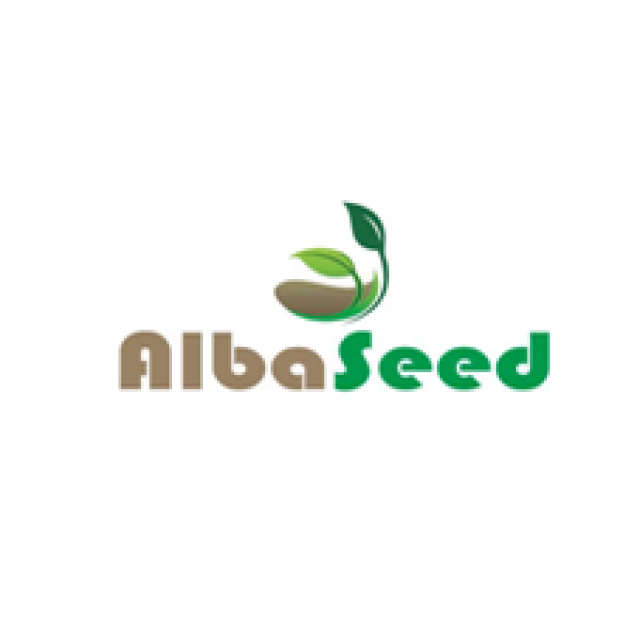 Alba Seed Shpk